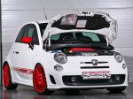 Abarth 500 by Karl Schnorr 2009 года